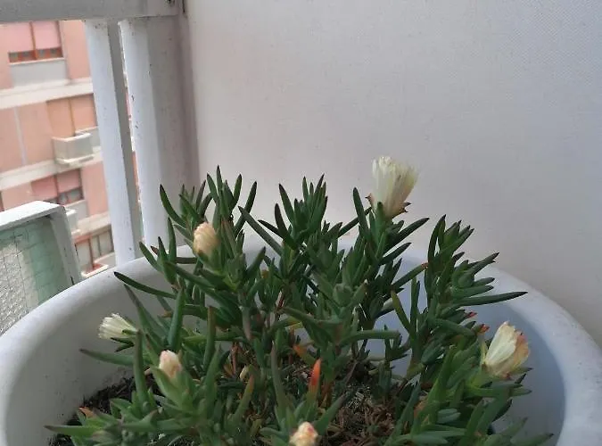 게스트하우스 La Dimora Del Conte 페스카라